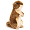 Knuscheltier Taschenratten