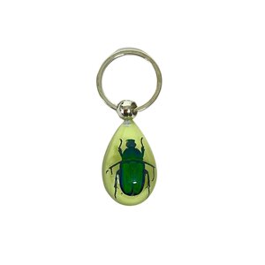 Glow in the dark keychain Beetle in resin