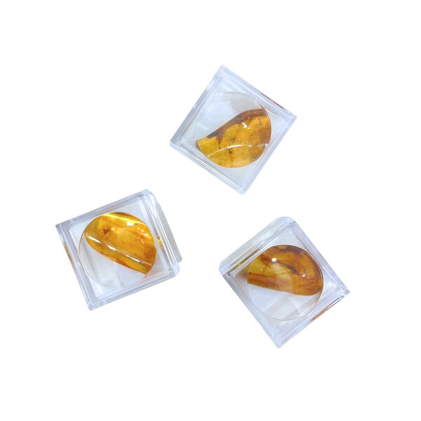 Barnsteen met insecten in doosje