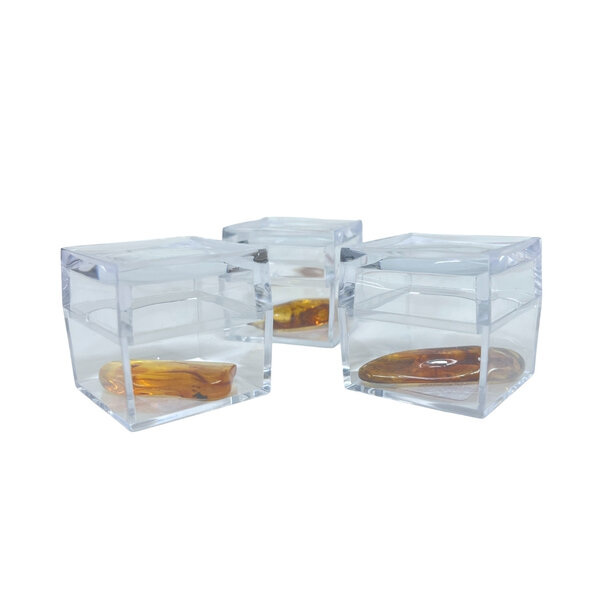 Baltische Bernstein mit Insekten in einer Schachtel