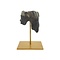 Fossil Molar Woolly rhinoceros on golden base