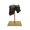 Fossil Molar Woolly rhinoceros on golden base