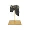 Fossil Molar Woolly rhinoceros on golden base