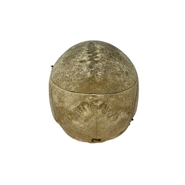 Menschlichen Schädel (C)