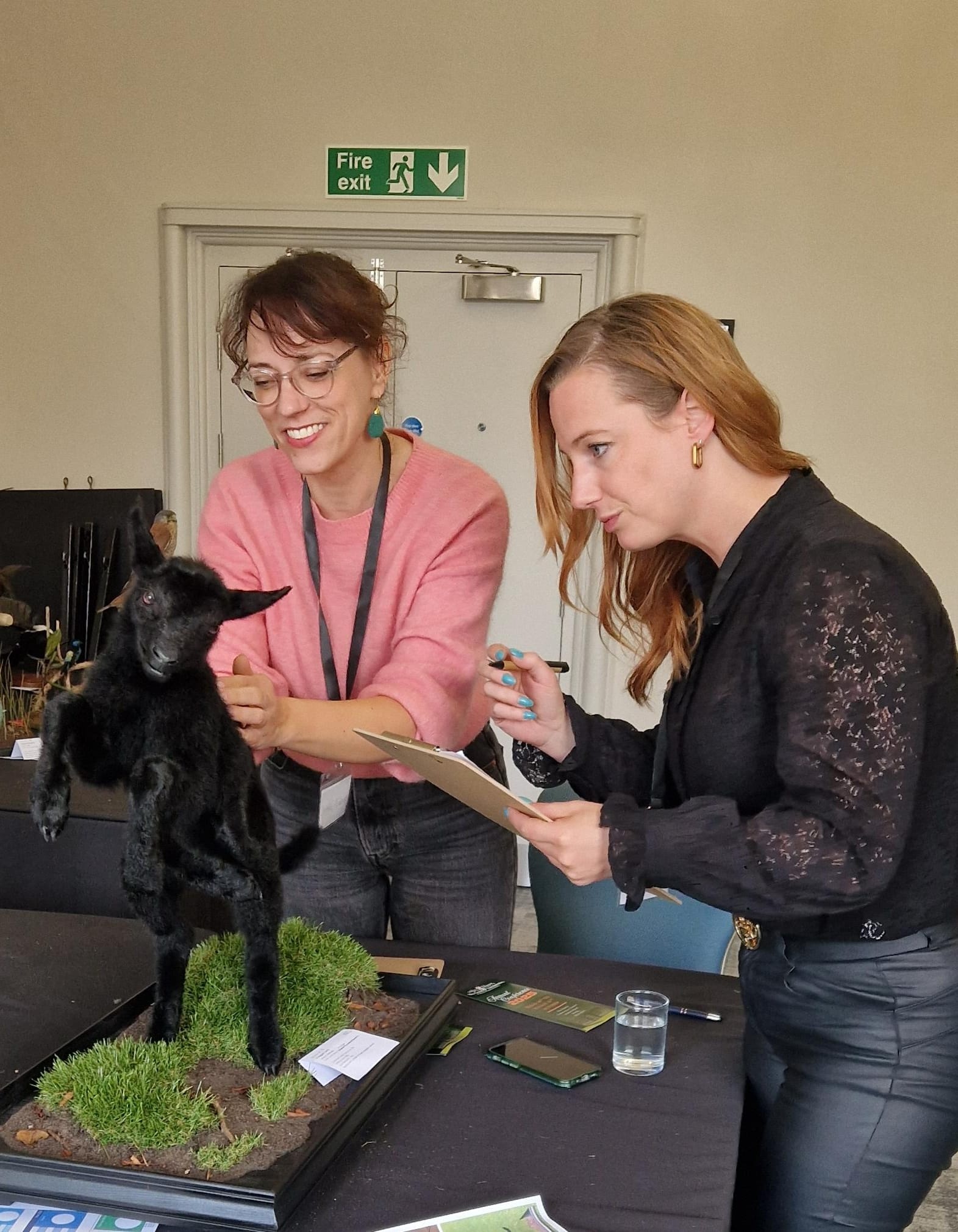 Taxidermy without borders: Sophie and Daphne review British masterpieces