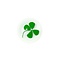 Four-leaf clover pin
