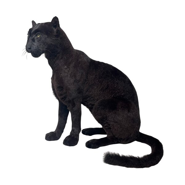 Opgezette Zwarte Poema