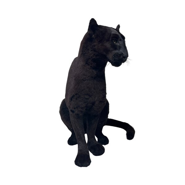 Opgezette Zwarte Poema