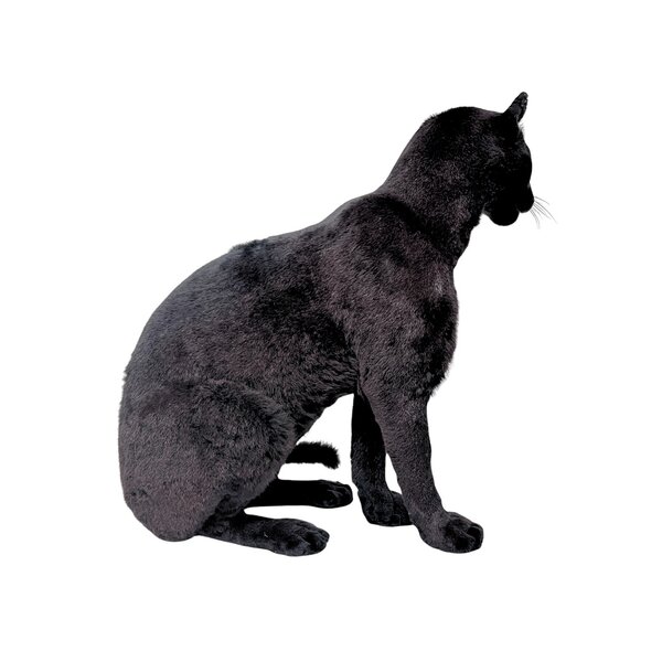 Opgezette Zwarte Poema