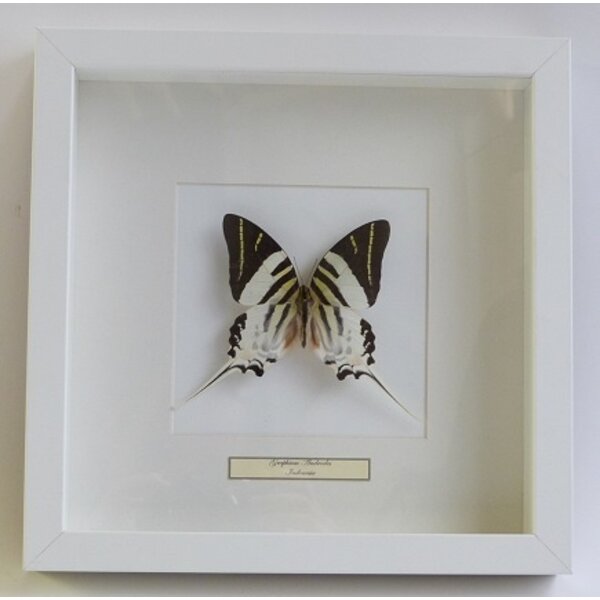 Standard Rahmen weiß 25 x 25 x 4 cm