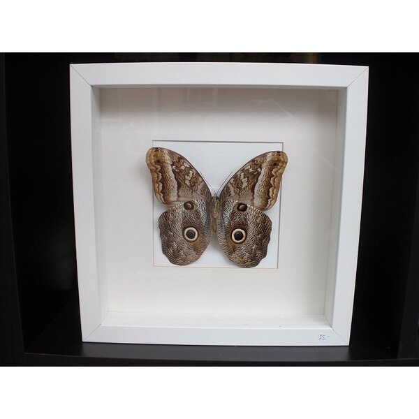 Standard Rahmen weiß 25 x 25 x 4 cm