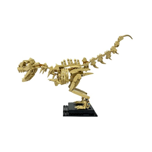Building blocks set Tyrannosaurus Rex skeleton