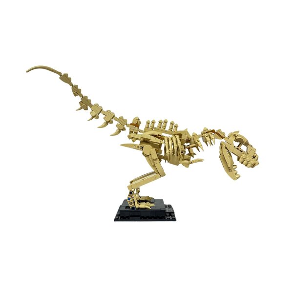 Bouwstenen set Tyrannosaurus Rex skelet