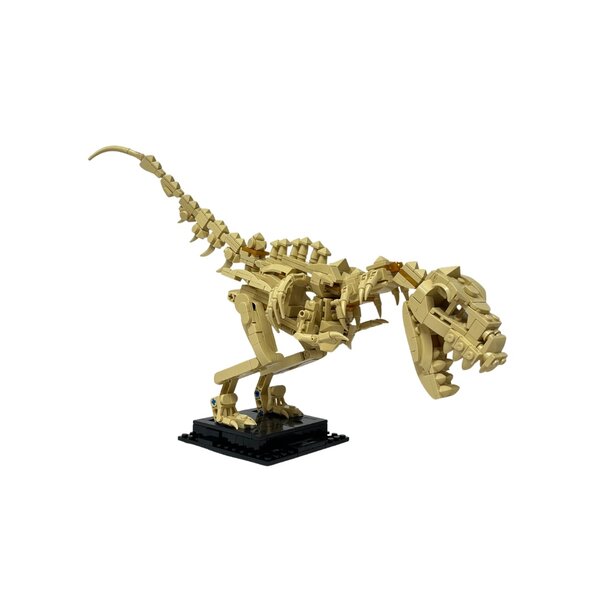 Bouwstenen set Tyrannosaurus Rex skelet