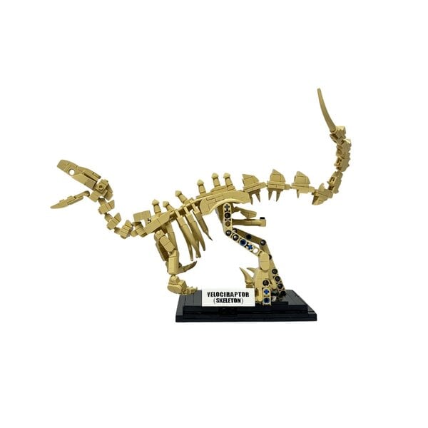 Building blocks set Velociraptor skeleton