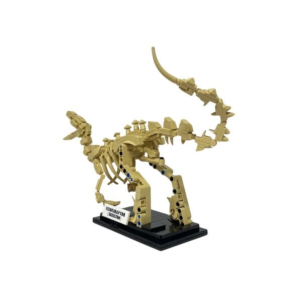 Bouwstenen set Velociraptor skelet