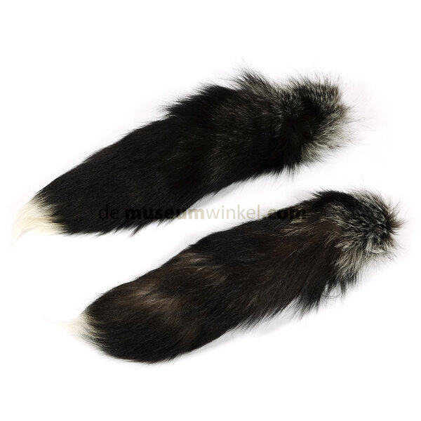 Tail blue frost fox (dark)