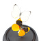 Glass dome with mounted butterflies - Delias Aurantiaca (2)