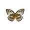 Cepora celebensis onderkant