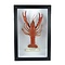 Mounted red swamp crayfish