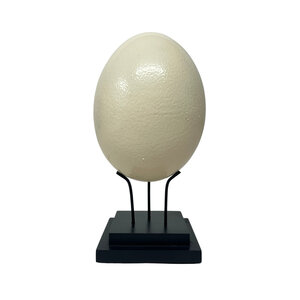Ostrich egg on stand