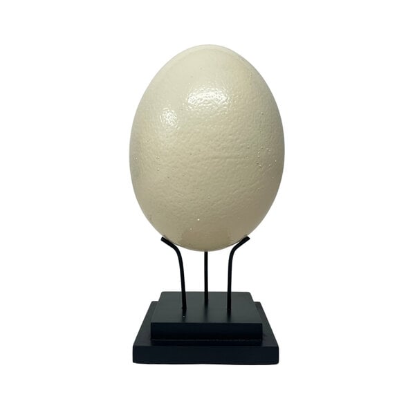 Ostrich egg on stand