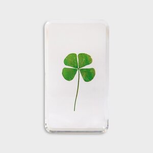 Clover in resin