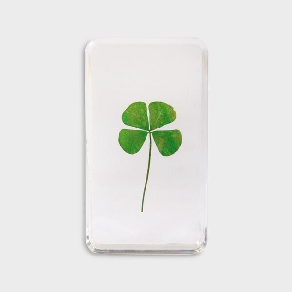 Clover in resin
