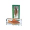 Goldfish in resin