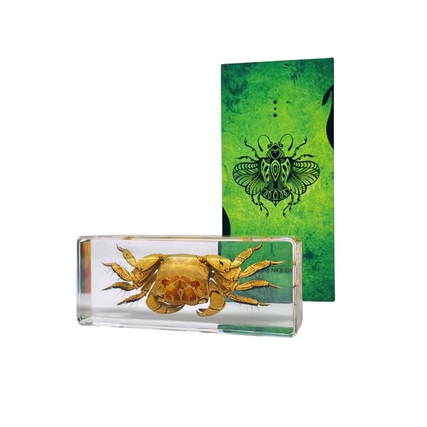 Krab in hars blokje (groot)