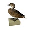 Antique mounted Duck couple