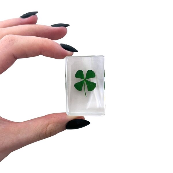 Clover in resin