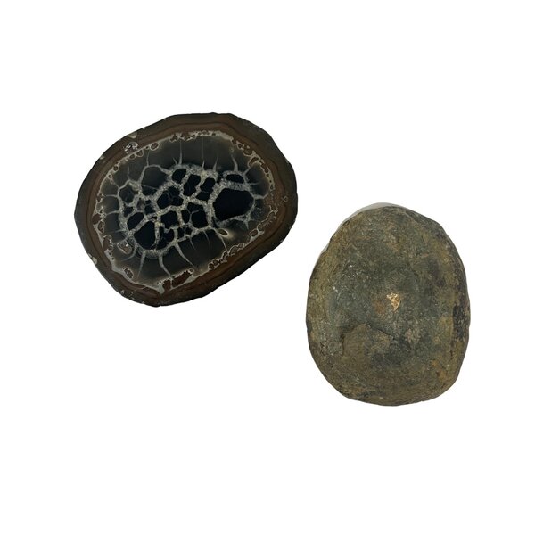 Septarie Edelstein Knolle