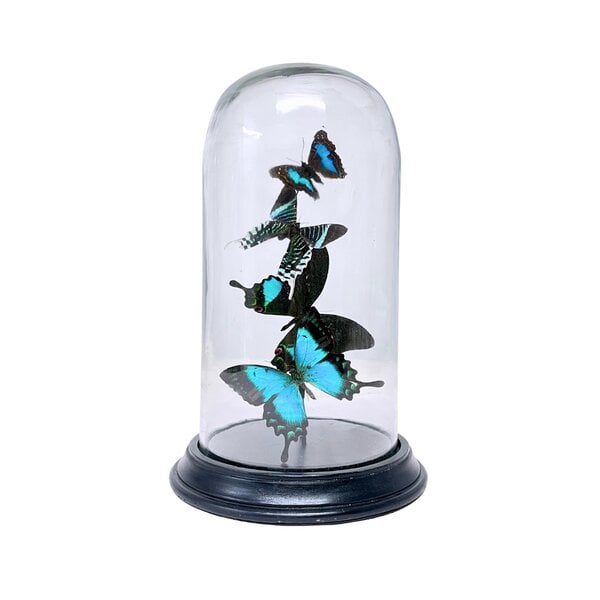 Turqoise vlinders stolp 27 x 14 cm