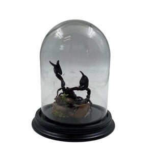 Dome with scorpion Heterometrus spinifer