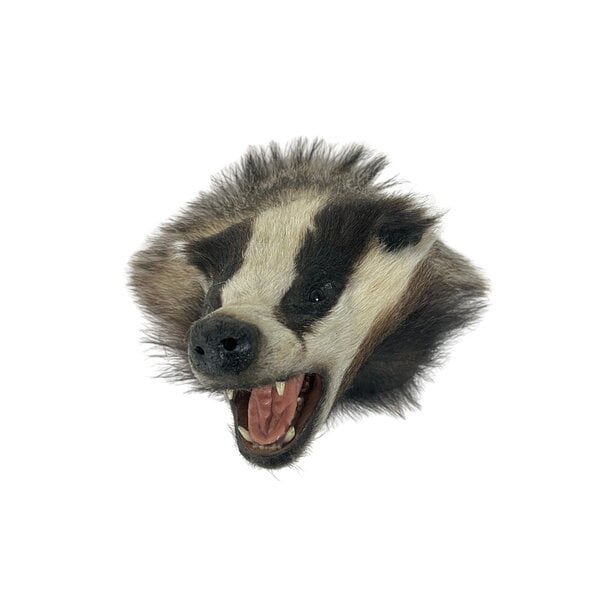 Opgezette das trofee