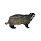 Mounted European badger