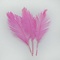 Ostrich feather pink 30 cm