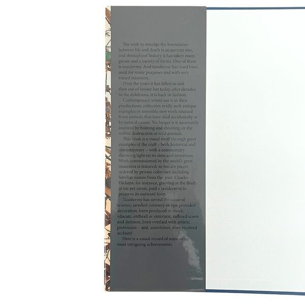 Buch: Voodoo Salon Errol Fuller