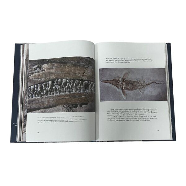 Boek: Jurassic Blue, Errol Fuller