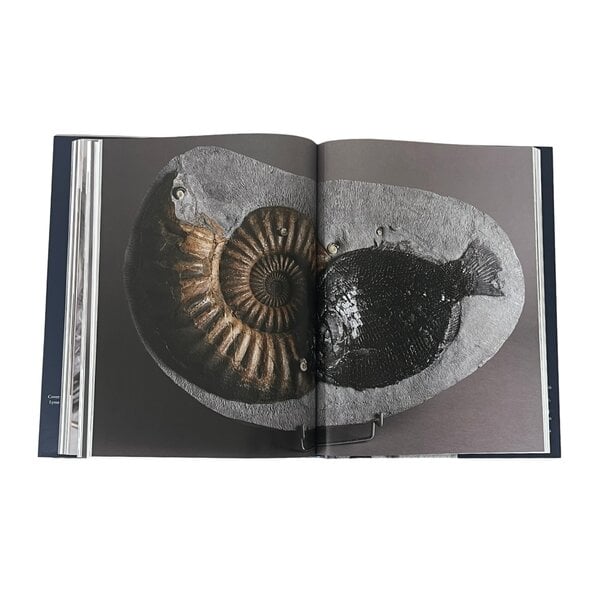 Buch: Jurassic Blue, Errol Fuller