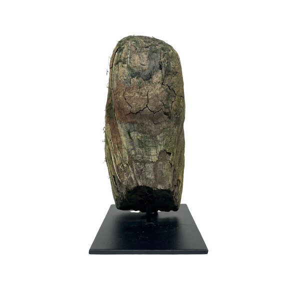 Fossiele mammoetkies op standaard (A)