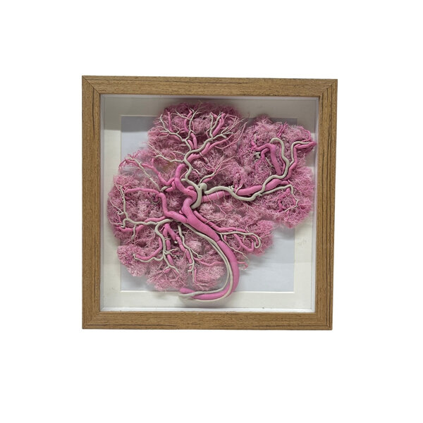 Placenta in frame (Pink) - DeMuseumwinkel.com