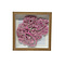 Placenta in frame (Pink)