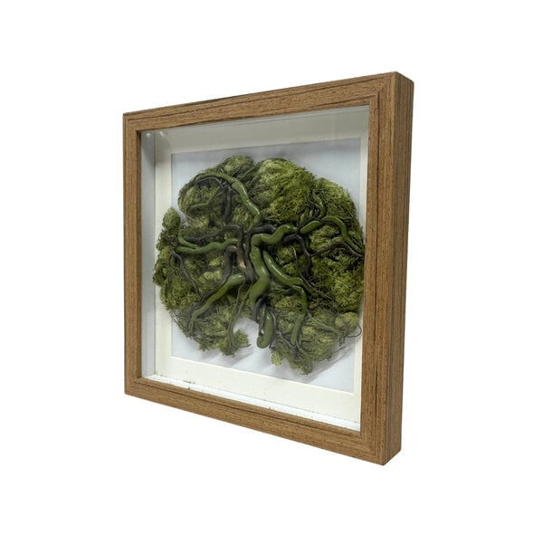 Plazenta in Rahmen (grün)