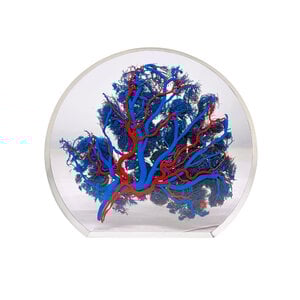 Placenta (Blue)