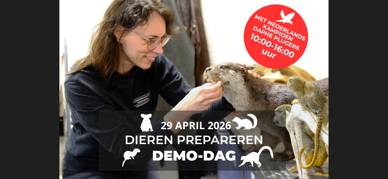 29 April: Demo-dag door onze preparateur Daphne Plugers