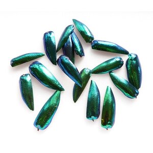 Jewel beetle shells - per 10 pieces