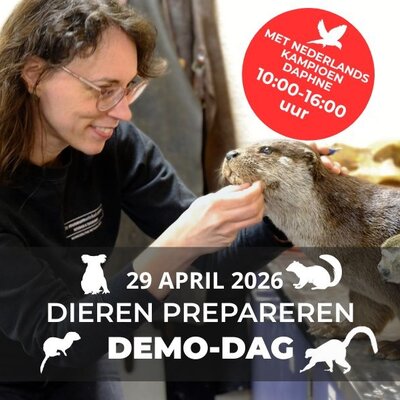 29 April: Demo-dag door onze preparateur Daphne Plugers