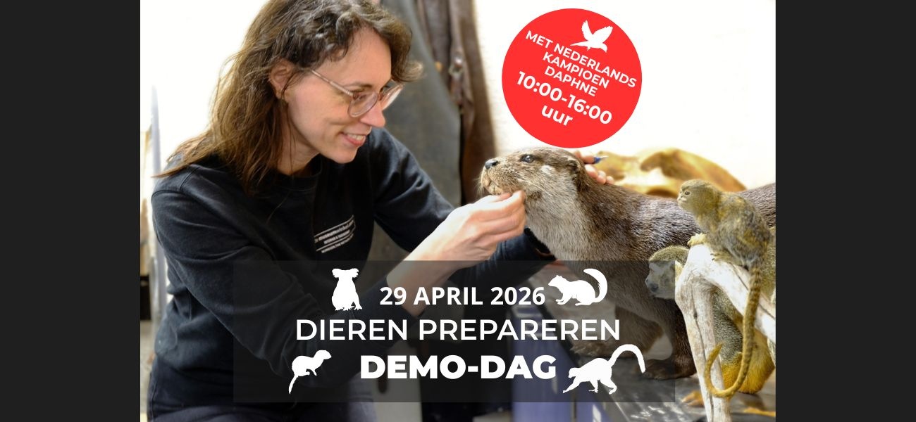 29. April: Demo-Tag mit unserer Präparatorin Daphne Plugers